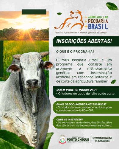 Mais Pecuária Brasil