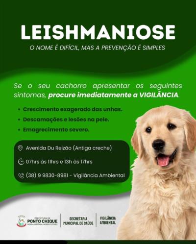 Leishmaniose, o nome é difícil mas a prevenção é simples.