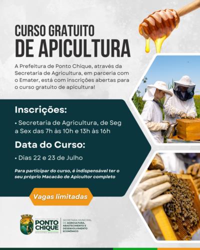 🐝 Oportunidade imperdível!