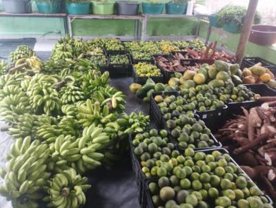 CHAMAMENTO DO PROGRAMA DE AQUISIÇÃO DE ALIMENTOS (PAA)